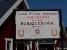 DZIEŃ DZIECKA w Bursztynowej Stajni gr II 2023_69