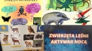 Gr I Zwierzęta aktywne w dzień i w nocy 2022_10