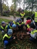 Jesień w parku gr 3 2022