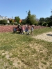 Piknik w gr. IV