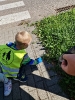 Sprzątanie świata gr II_1