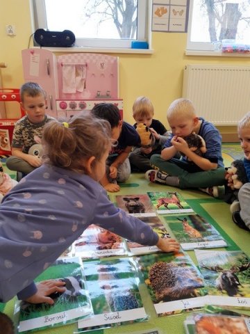 Gr III Poznajemy leśne zwierzęta i ich przygotowania do zimy