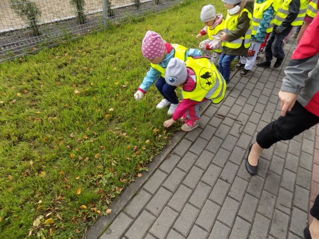 Sprzątanie Świata 2017
