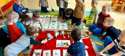 ŚWIATOWY DZIEŃ KOTA gr I i II 2022_9