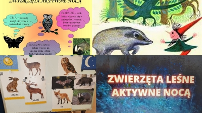 Gr I Zwierzęta aktywne w dzień i w nocy 2022_10