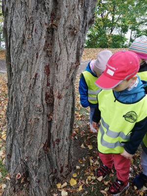 Jesień w parku gr 3 2022_13