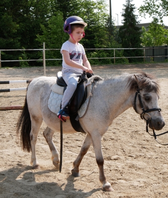 STAJNIA BURSZTYNOWA W ZDRADZIE gr II 1.06.2023_17