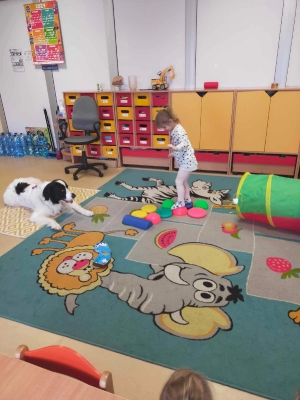 Dogoterapia gr. I 